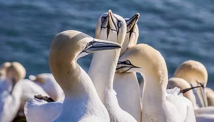 朱芳雨：越来越多中国球员冲击海外联赛，值得我们鼓掌点赞