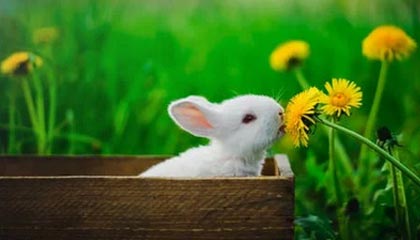 默契十足！梅西全程背对球门，随后脚后跟做球助攻苏亚雷斯